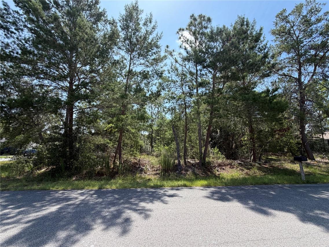 Redwood Run Loop, Ocala, FL 34472