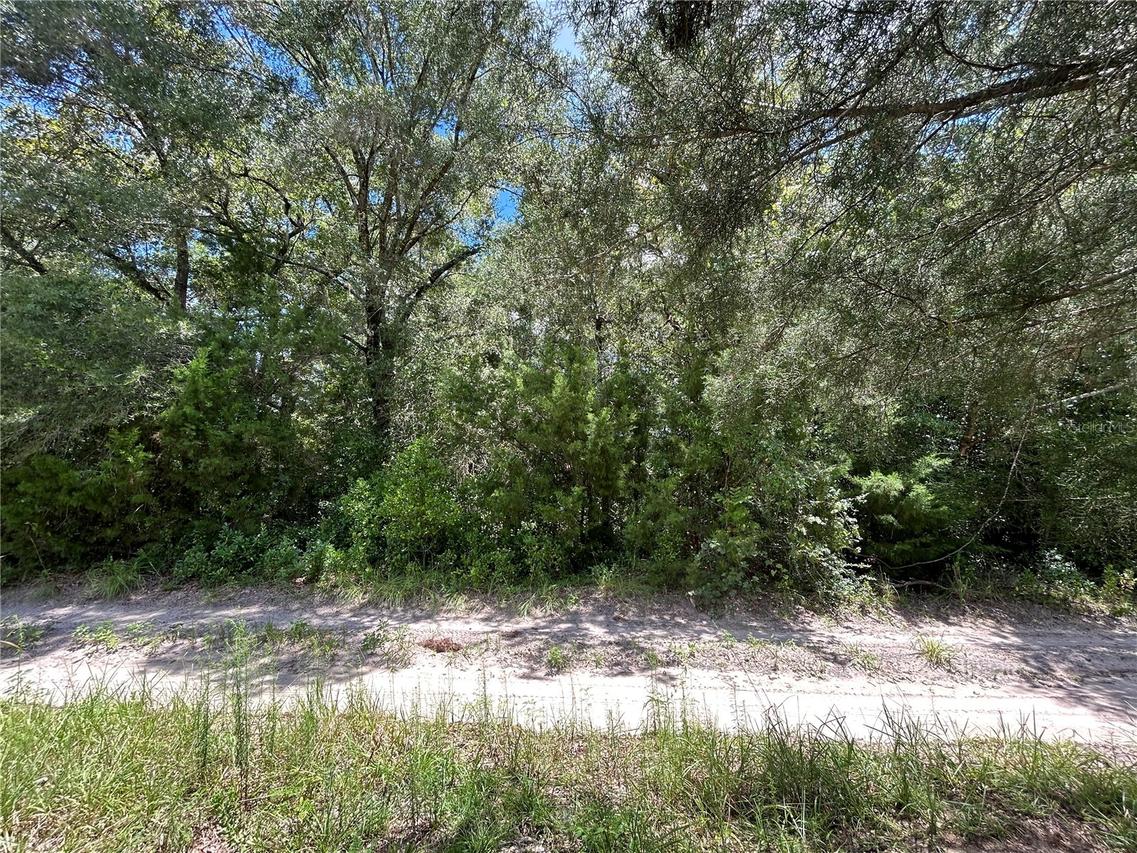 0000 NE 157th Ter., Williston, FL 32696