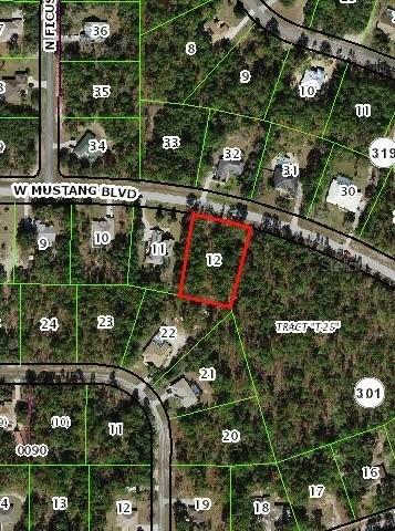 3014 W Mustang Blvd., Beverly Hills, FL 34465