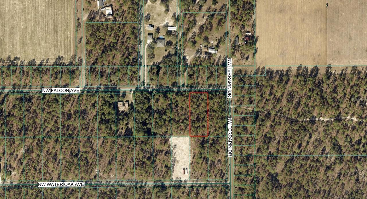 00 NW Falcon Ave., Dunnellon, FL 34431