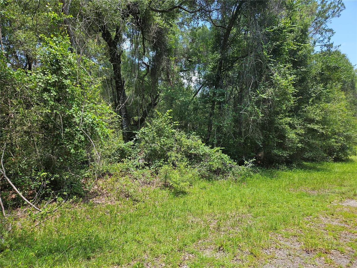 1139 Kingsdale St., Dunnellon, FL 34434