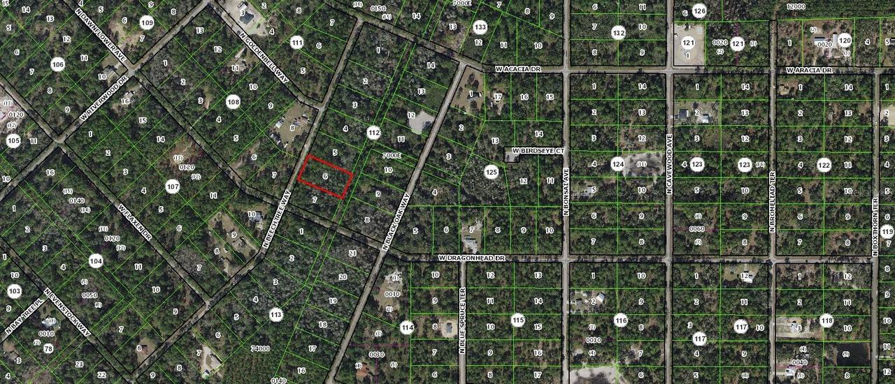 9345 N Beechtree Way, Crystal River, FL 34428