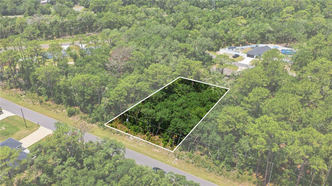 TBD Locust Terrace Tr. #Lot 12, Ocala, FL 34472