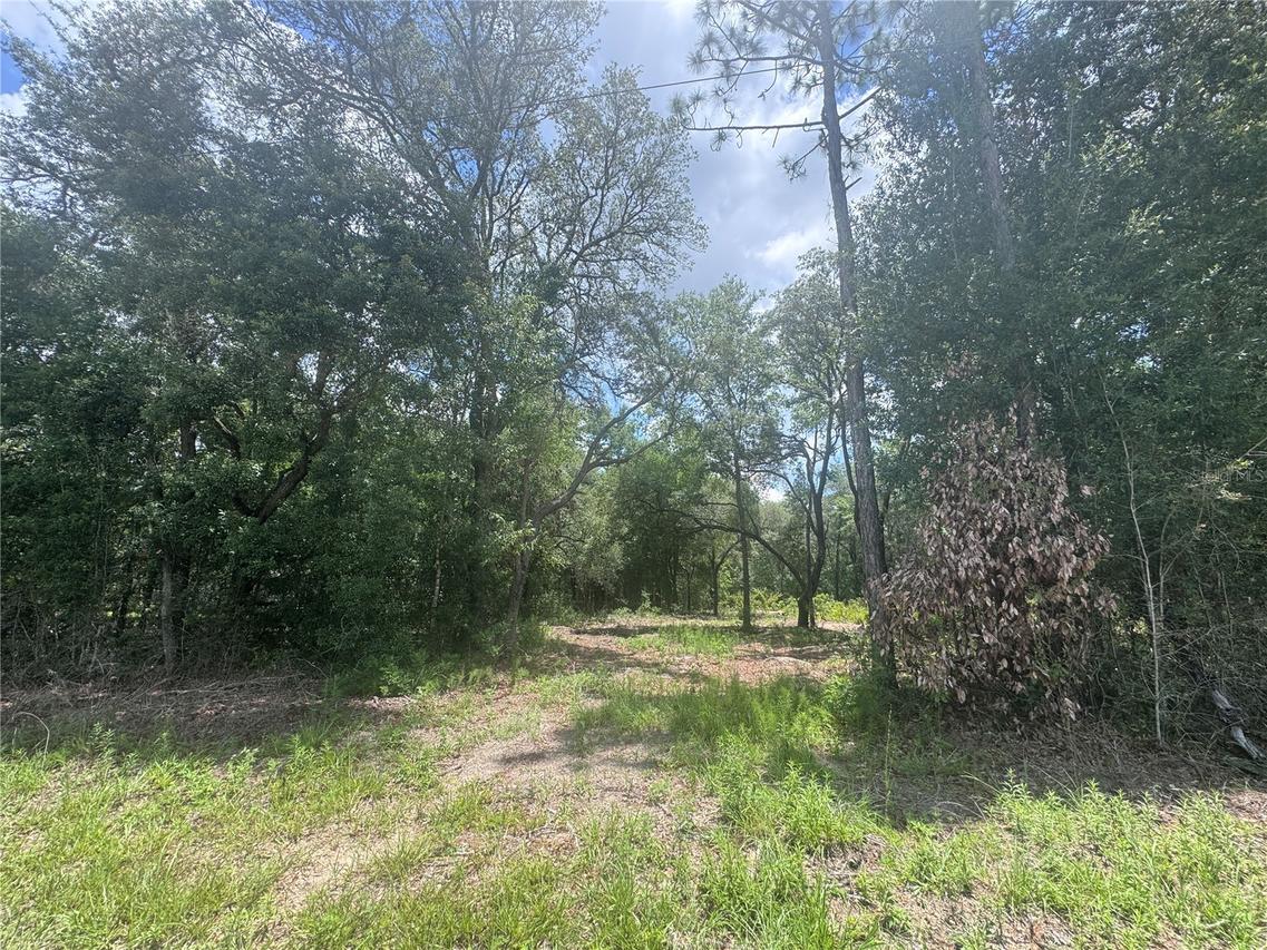 751 NE 139th Ave., Williston, FL 32696