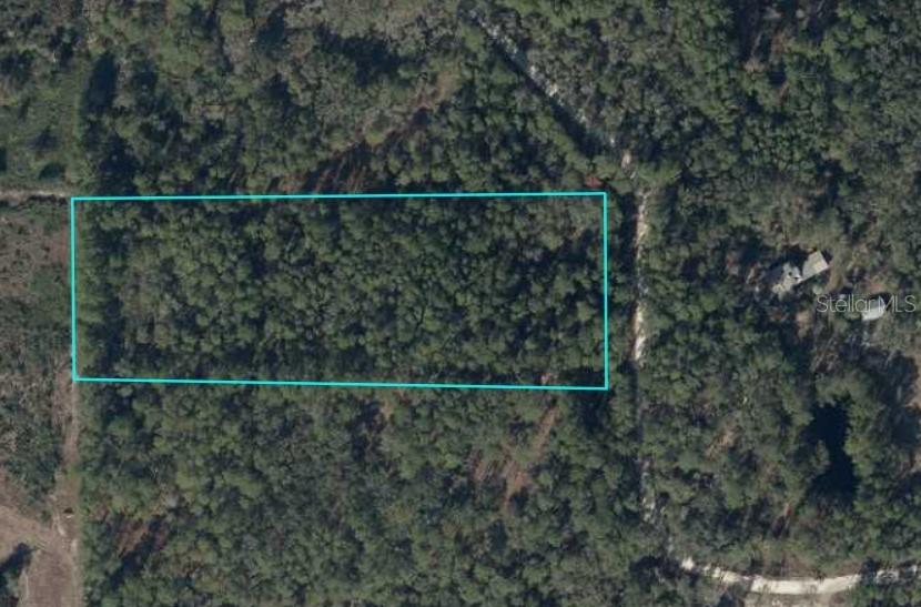TBD SE 91st Tr., Trenton, FL 32693