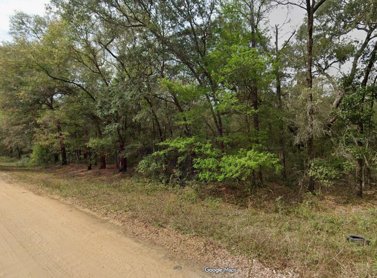 Lot 7, Unit 7, Blk 42 Buckles Ave., Interlachen, FL 32148
