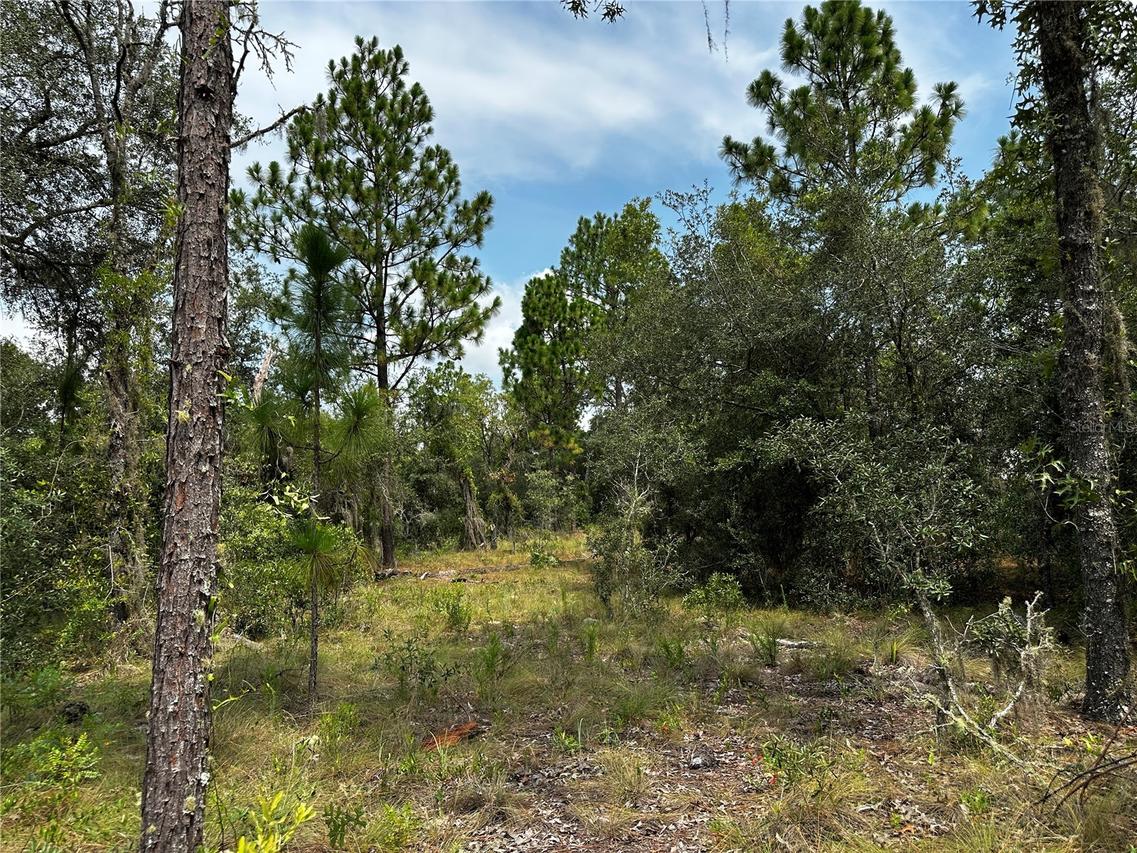 150 SE 144th Ave., Williston, FL 32696