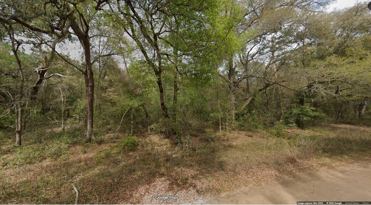 Lot 8, Unit 7, Blk 42 Buckles Ave., Interlachen, FL 32148