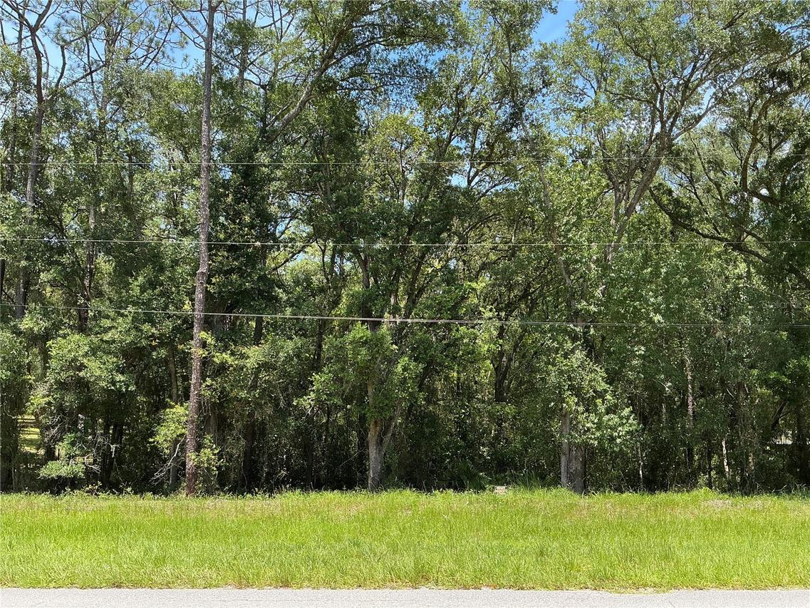 SW 102nd St Rd., Dunnellon, FL 34431