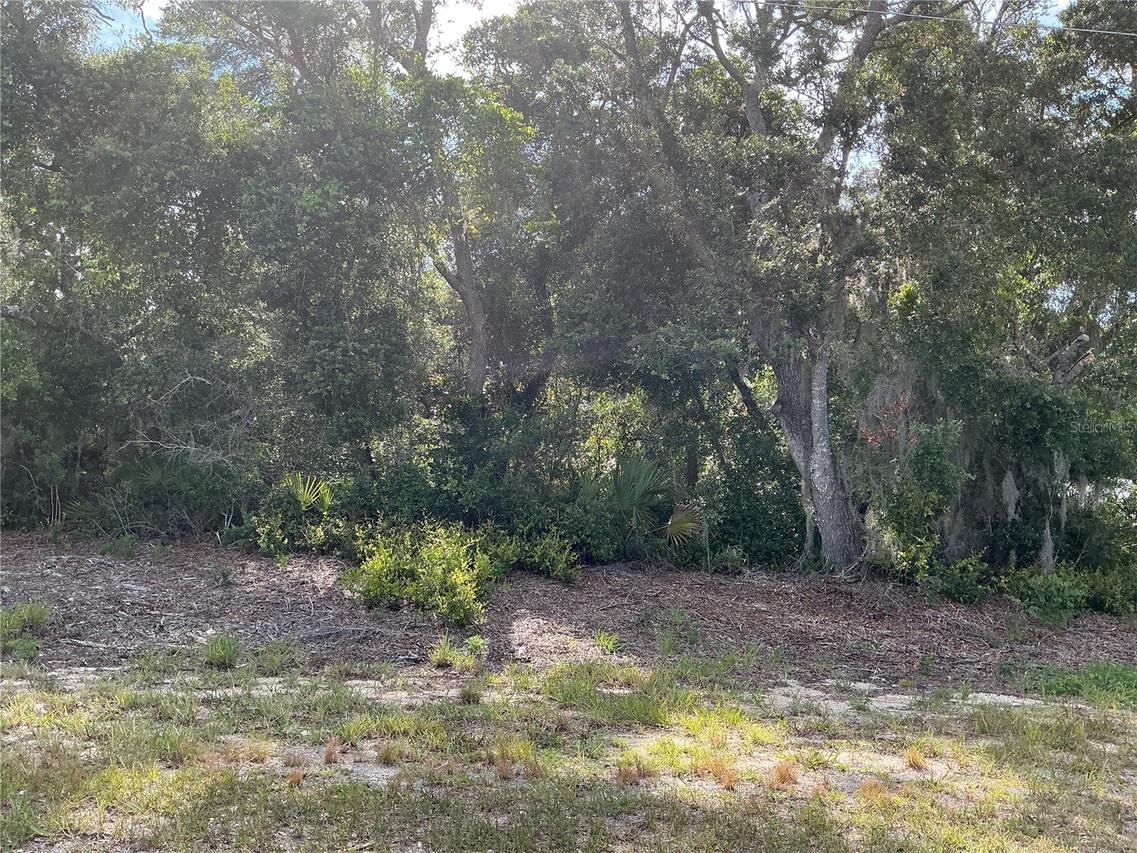 Olive Rd., Ocala, FL 34472