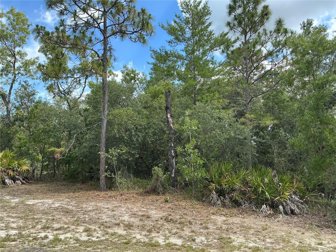 Persimmon Ave., Weeki Wachee, FL 34614