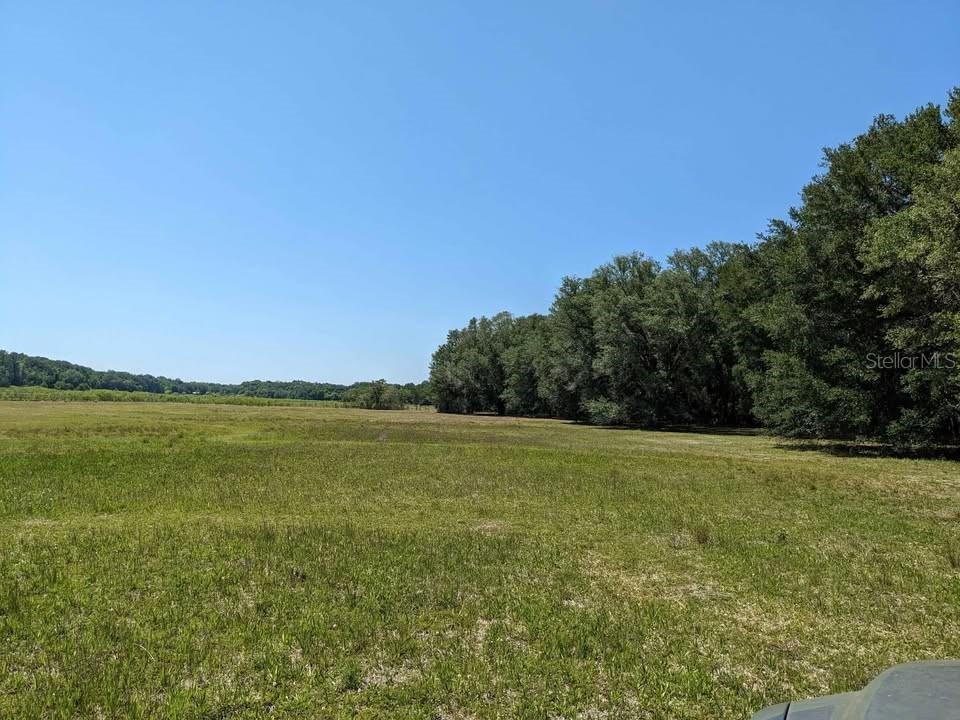 00 NW 60th Ave., Chiefland, FL 32626