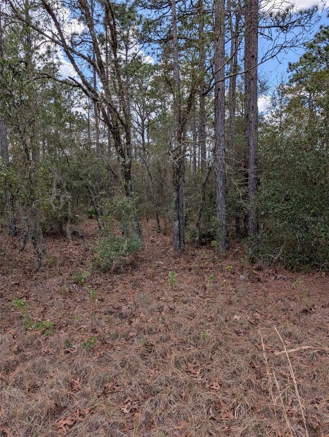 SW 90th St., Dunnellon, FL 34432
