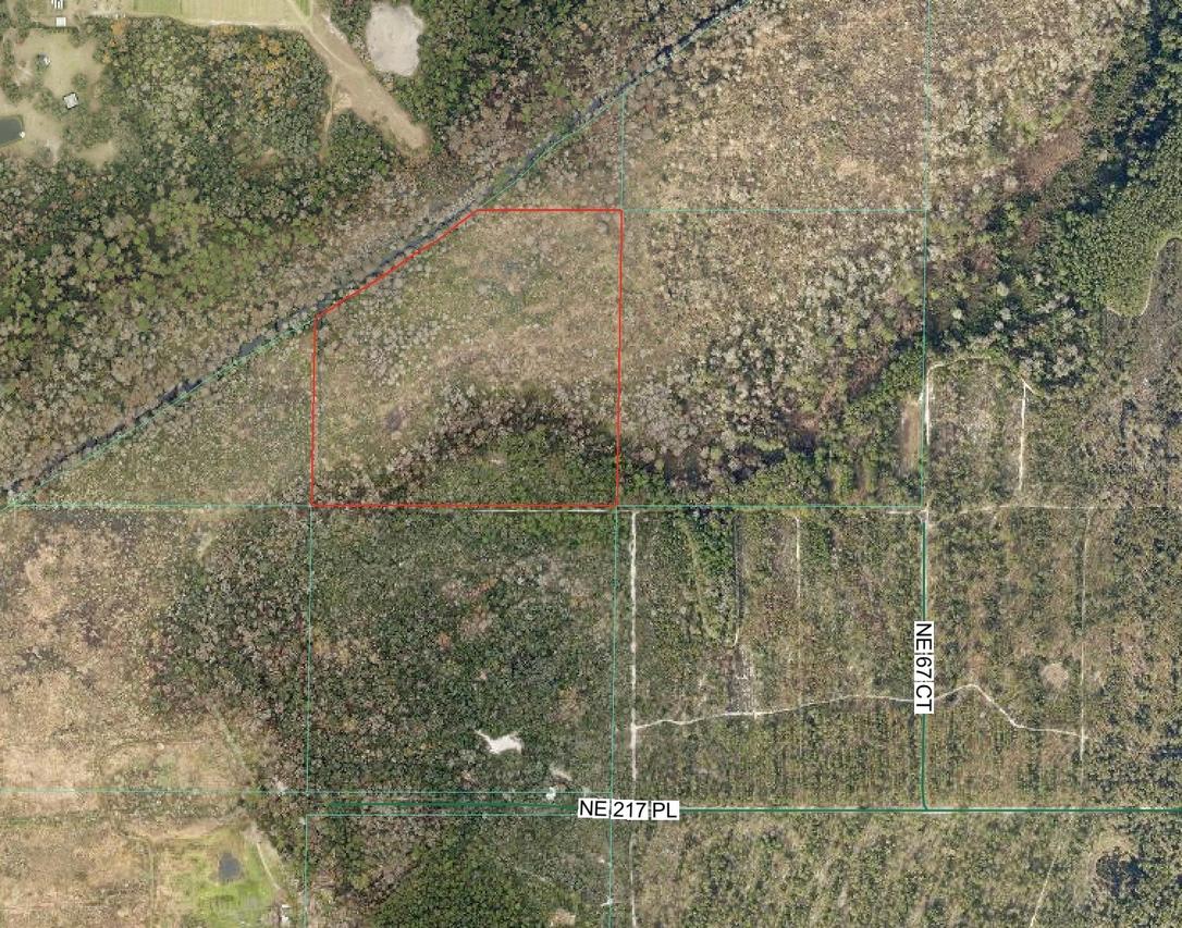NE 217th Pl, Citra, FL 32113
