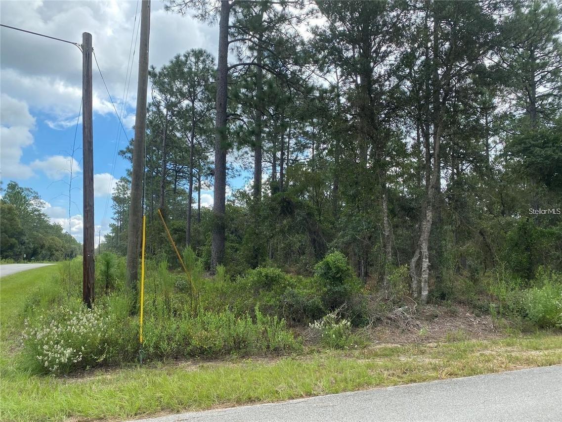 00 SW Buena Vista Rd., Dunnellon, FL 34431