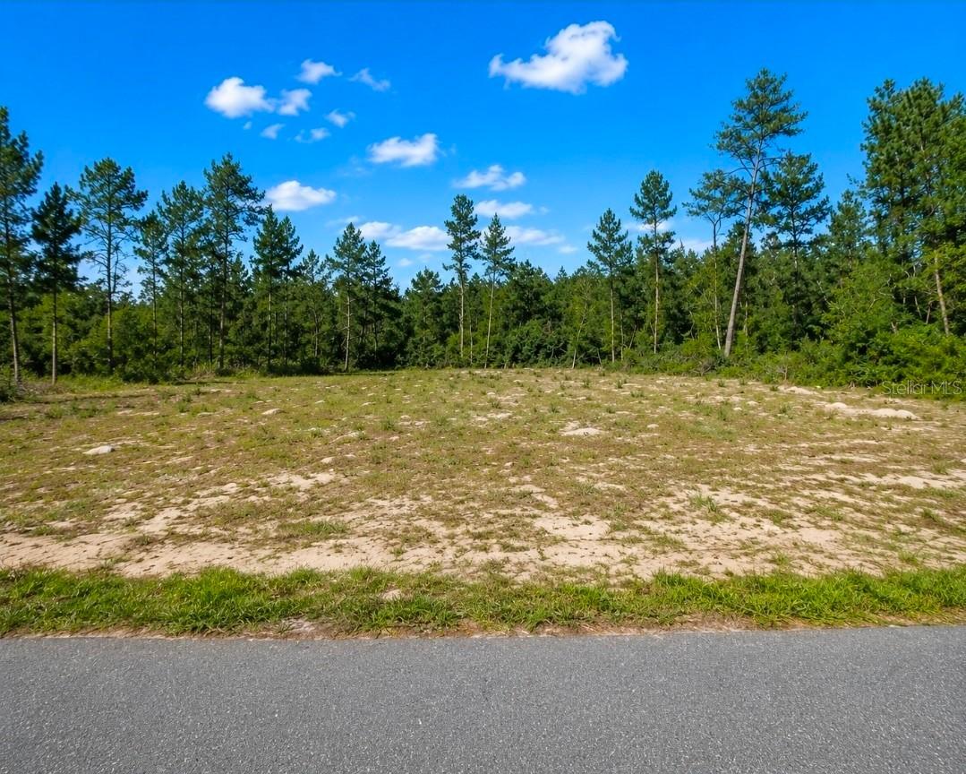 TBD SW 20th Court Rd., Ocala, FL 34473