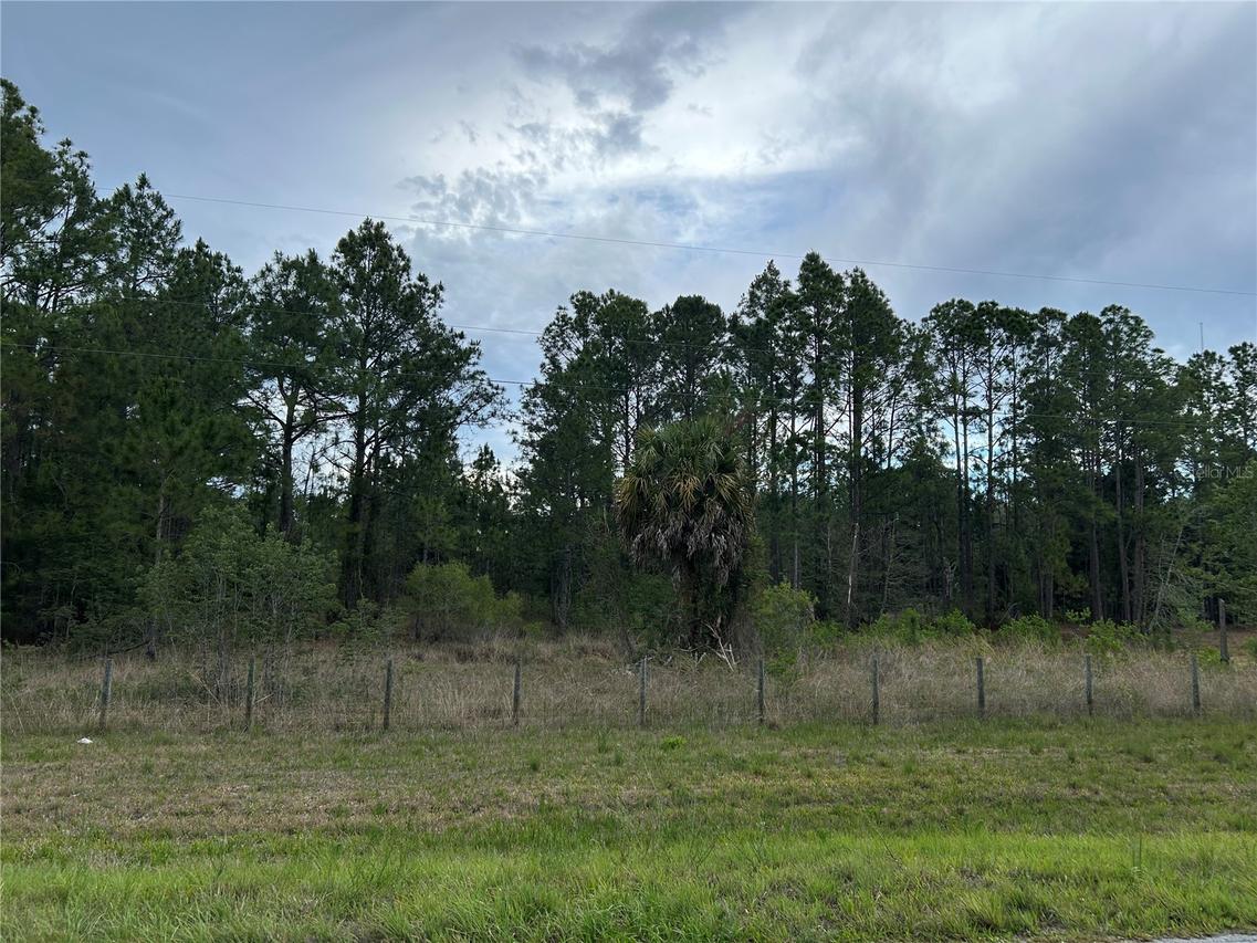 0000 SE 60th Ave., Morriston, FL 32668