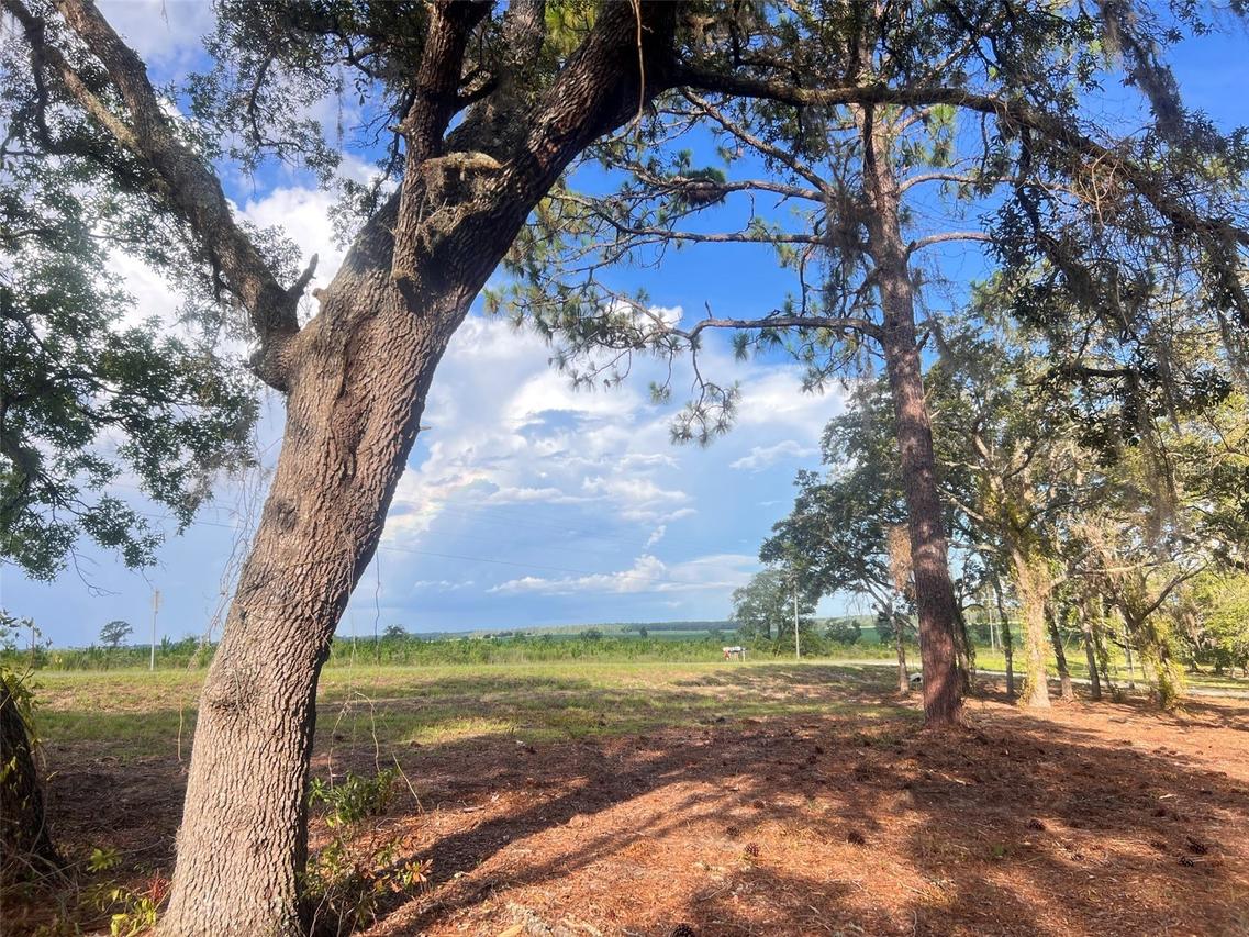 Levy Street, Williston, FL 32696