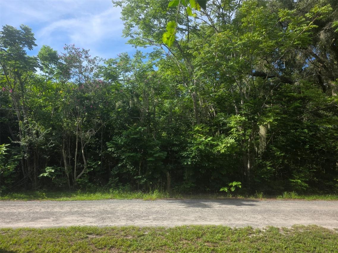 6601 SE 119th St., Belleview, FL 34420