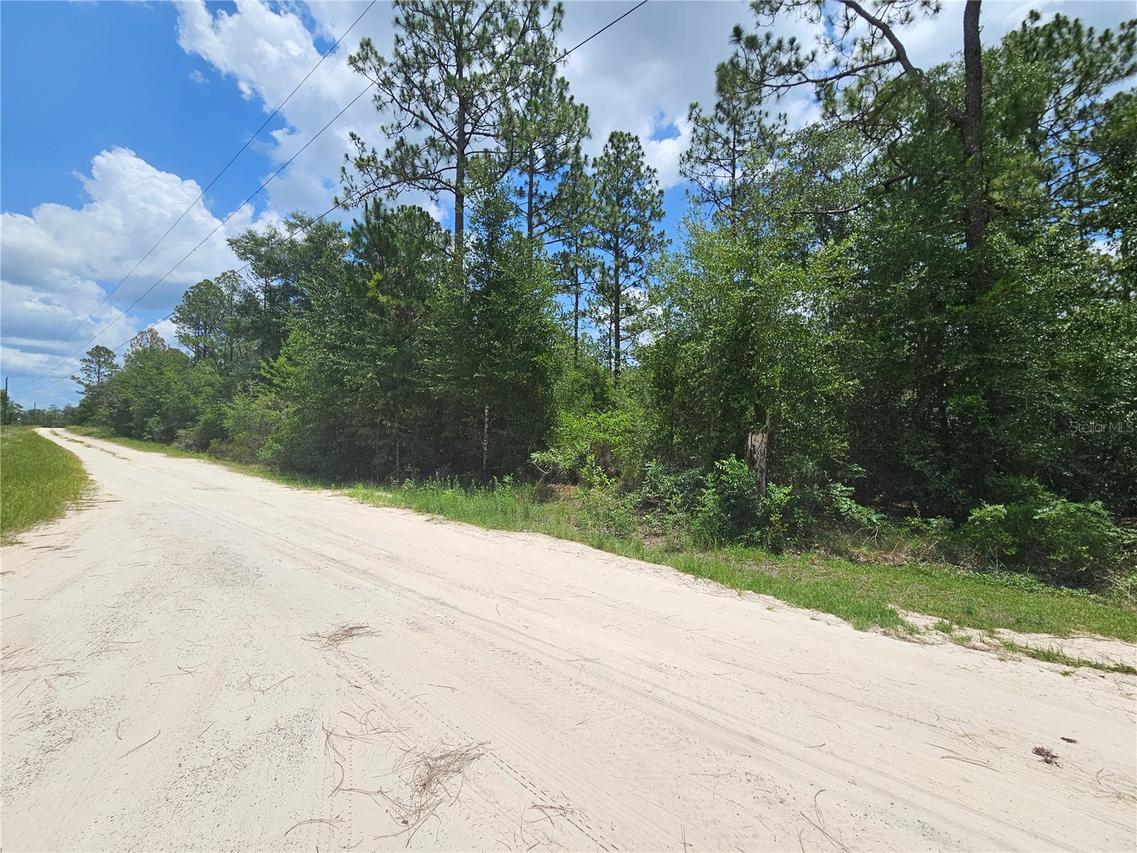 0000 NE 40th Ln., Williston, FL 32696
