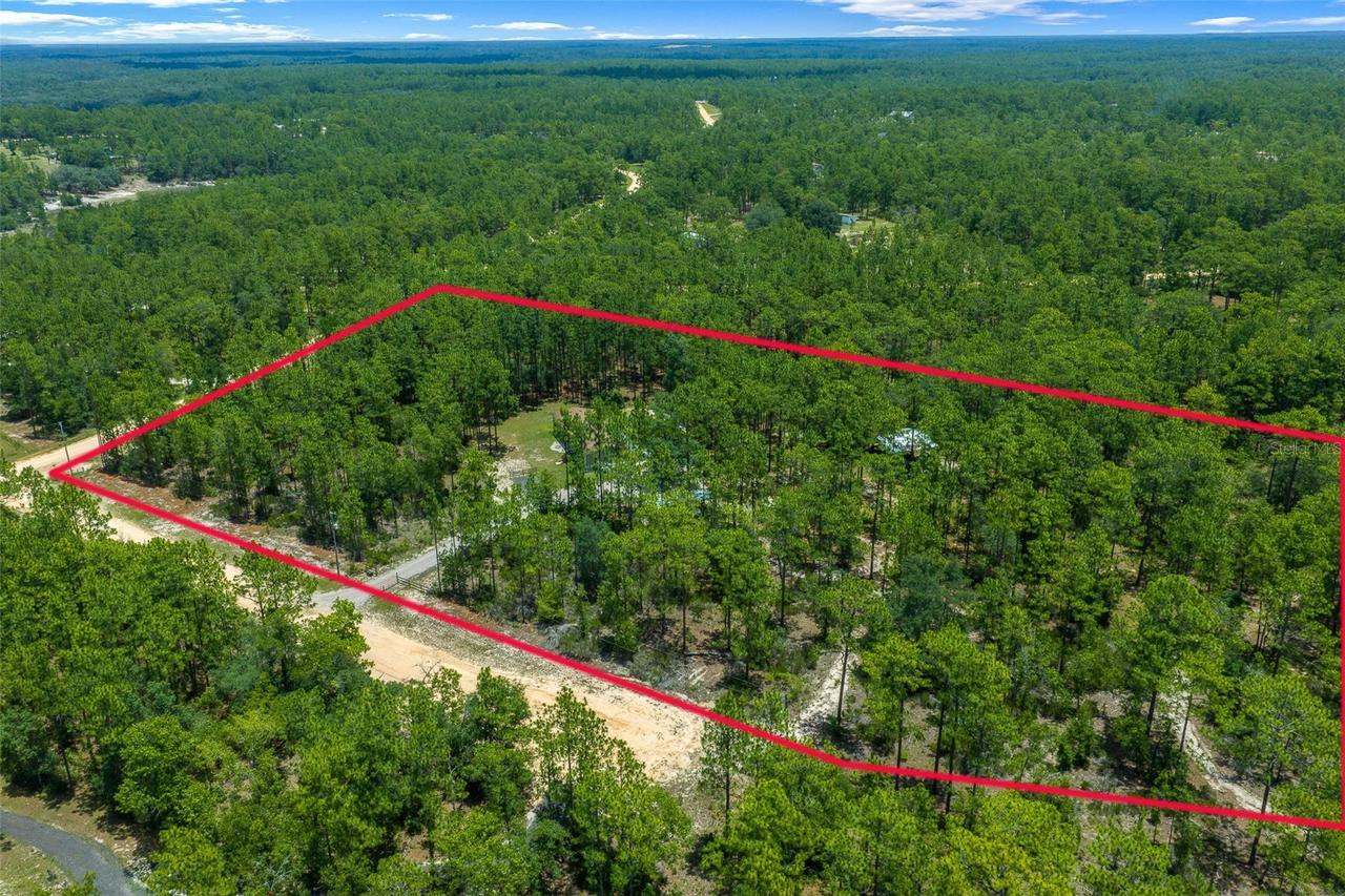105 Buck Run Tr., Hawthorne, FL 32640