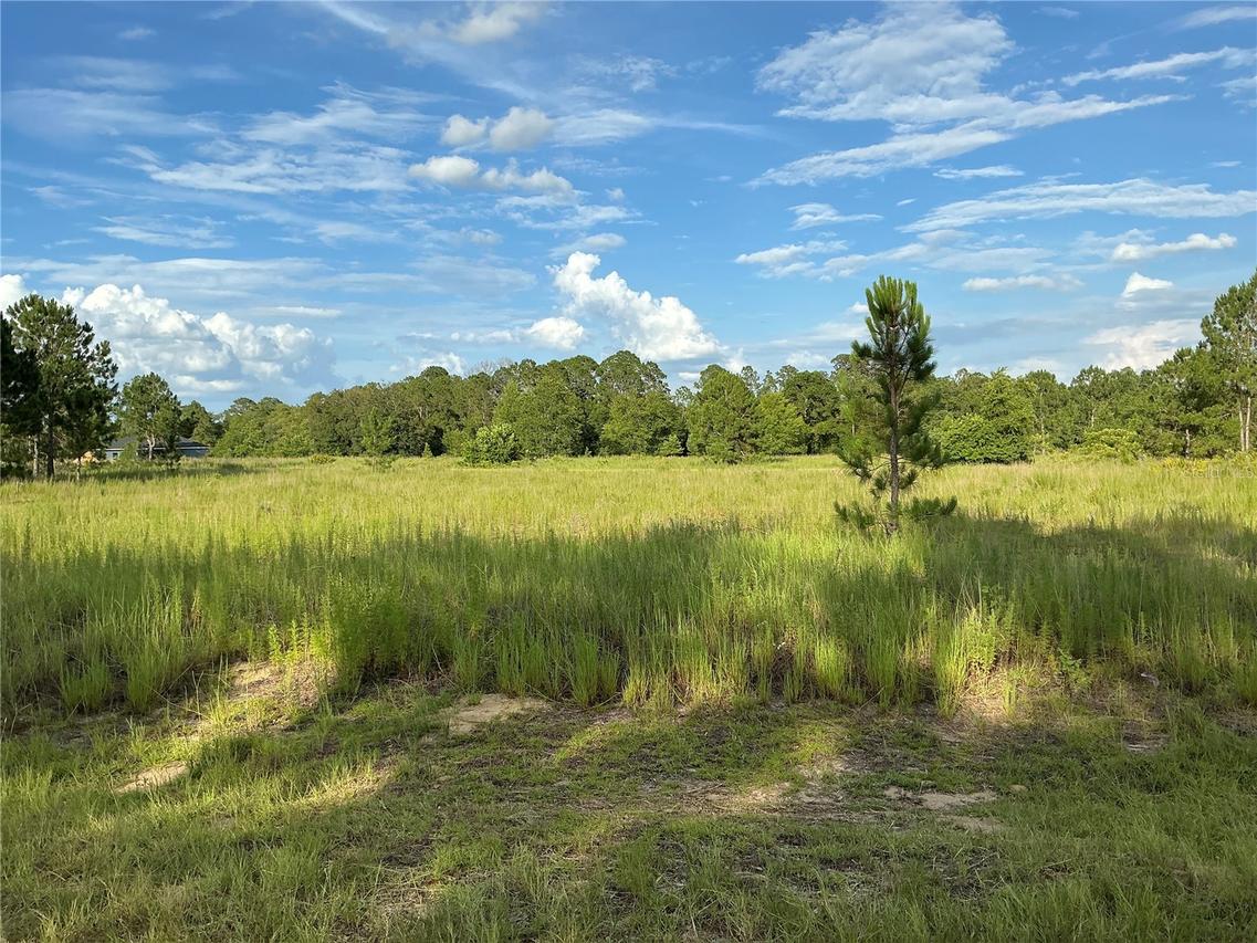 Maple Ln Way, Ocklawaha, FL 32179
