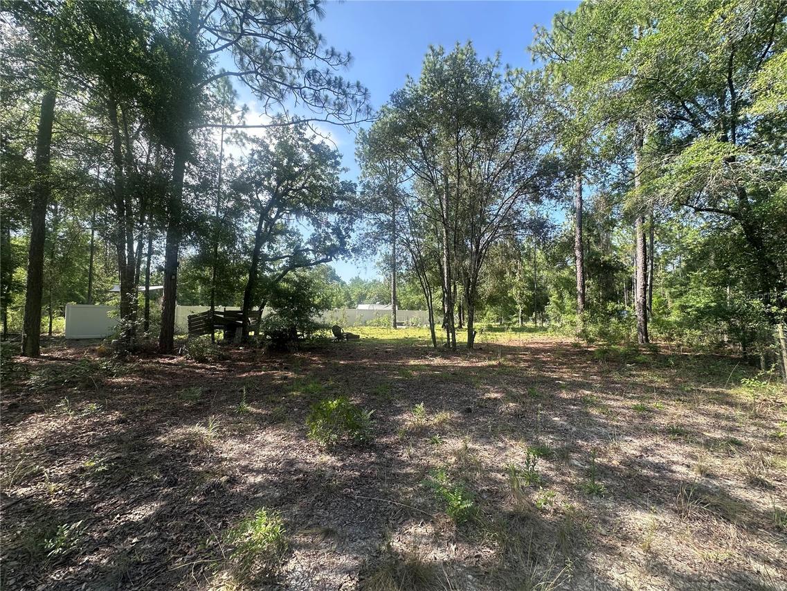 TBD NE 3rd Pl., Williston, FL 32696