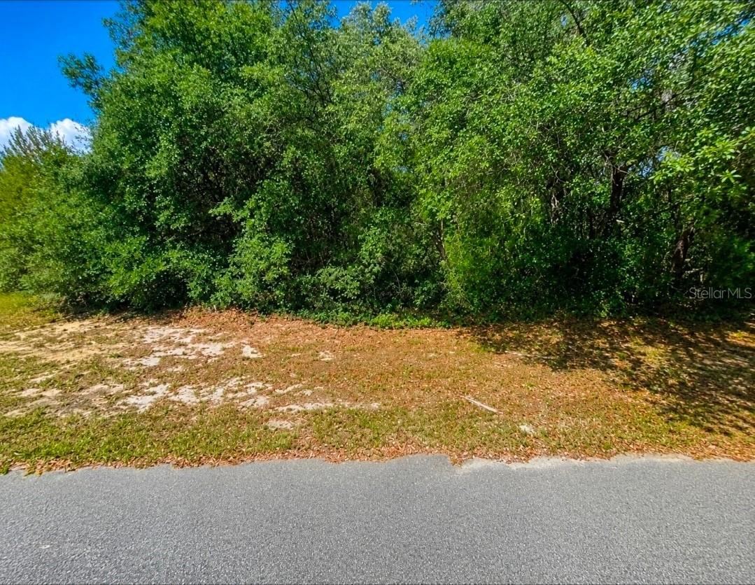 SW 164th Place Rd., Ocala, FL 34473