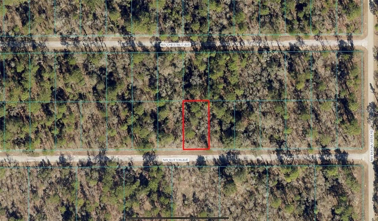 00 NW Sutton Ave., Dunnellon, FL 34431