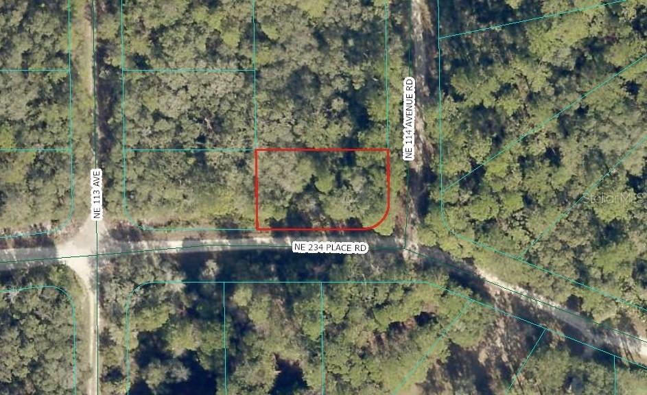 NE 234th Pl., Fort Mc Coy, FL 32134