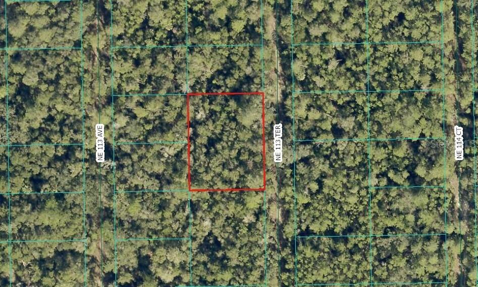 NE 113th Ter., Fort Mc Coy, FL 32134