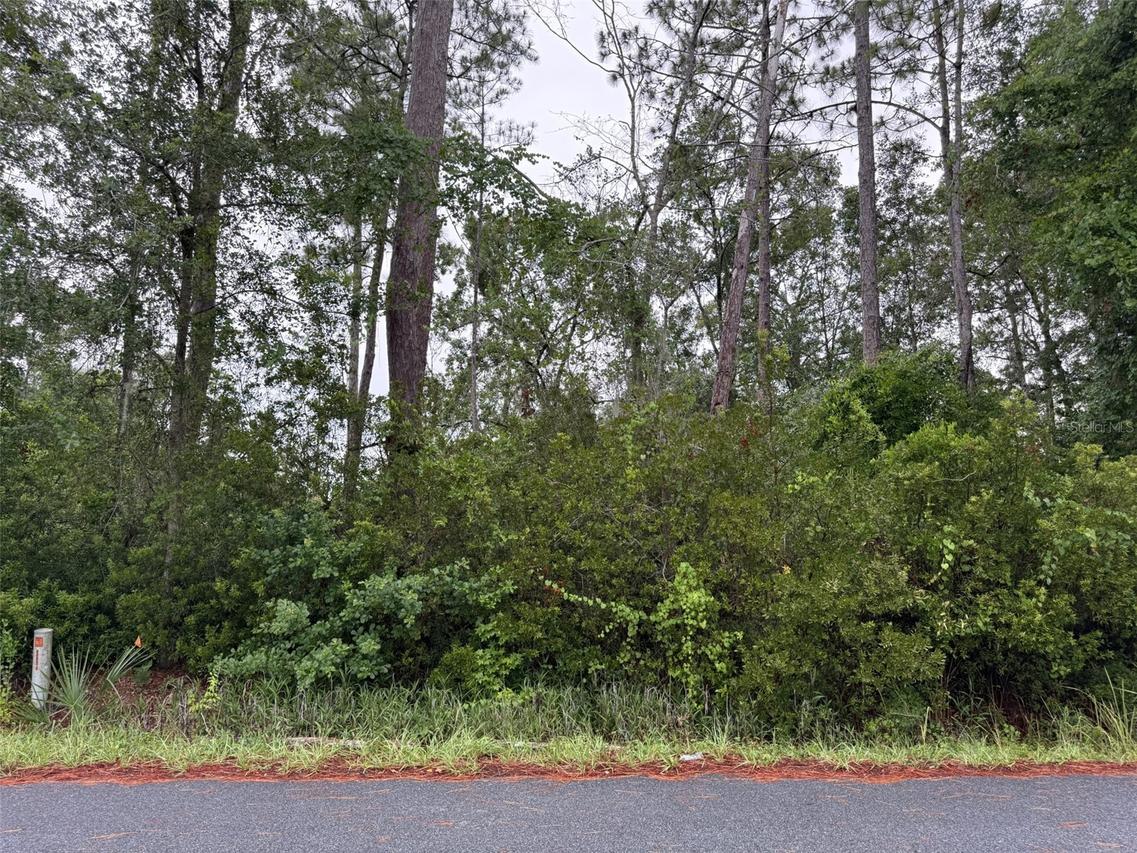 TBD Redwood Track Course, Ocala, FL 34472