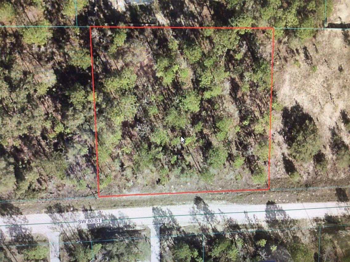 80 St., Dunnellon, FL 34432