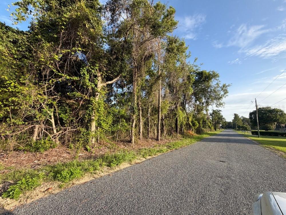 Ne 160th Ave, Williston, FL 32696