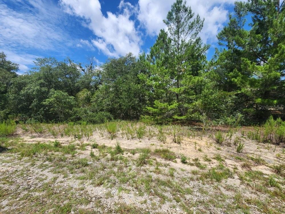 00 SW Gardenia Ct., Dunnellon, FL 34432