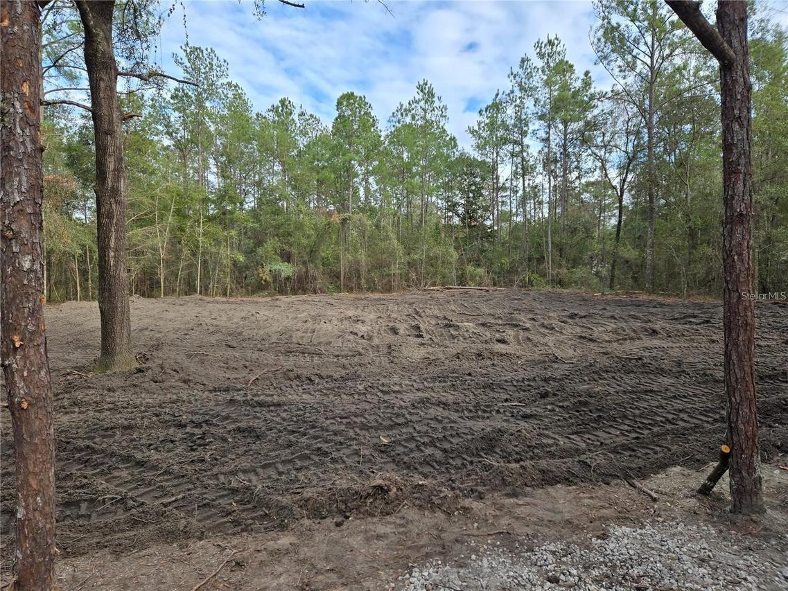 1671 NE 127th Ct., Williston, FL 32696