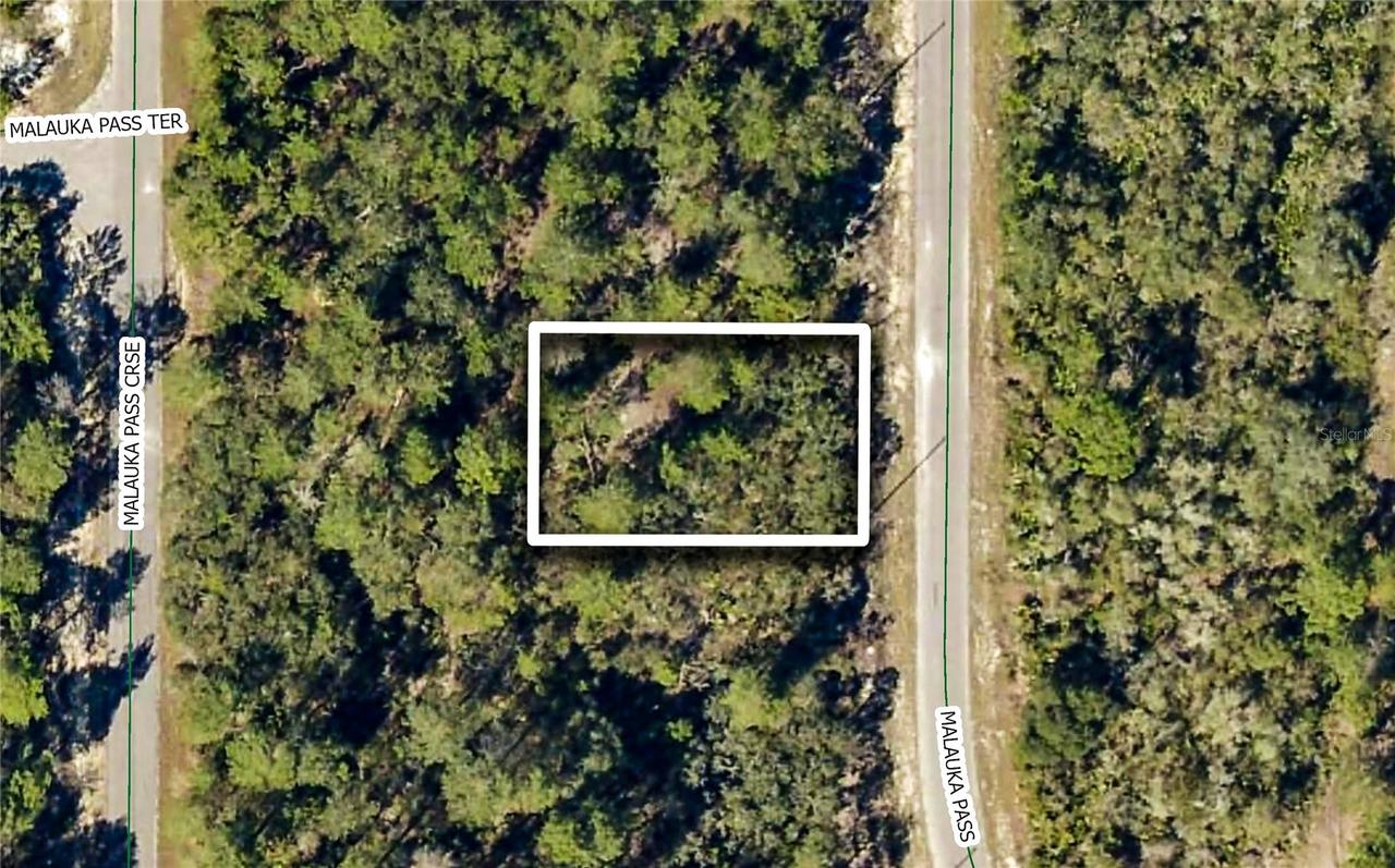 TBD Malauka Pass, Ocklawaha, FL 32179