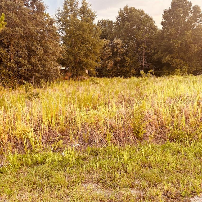 TBD Dogwood Drive Course, Ocala, FL 34472