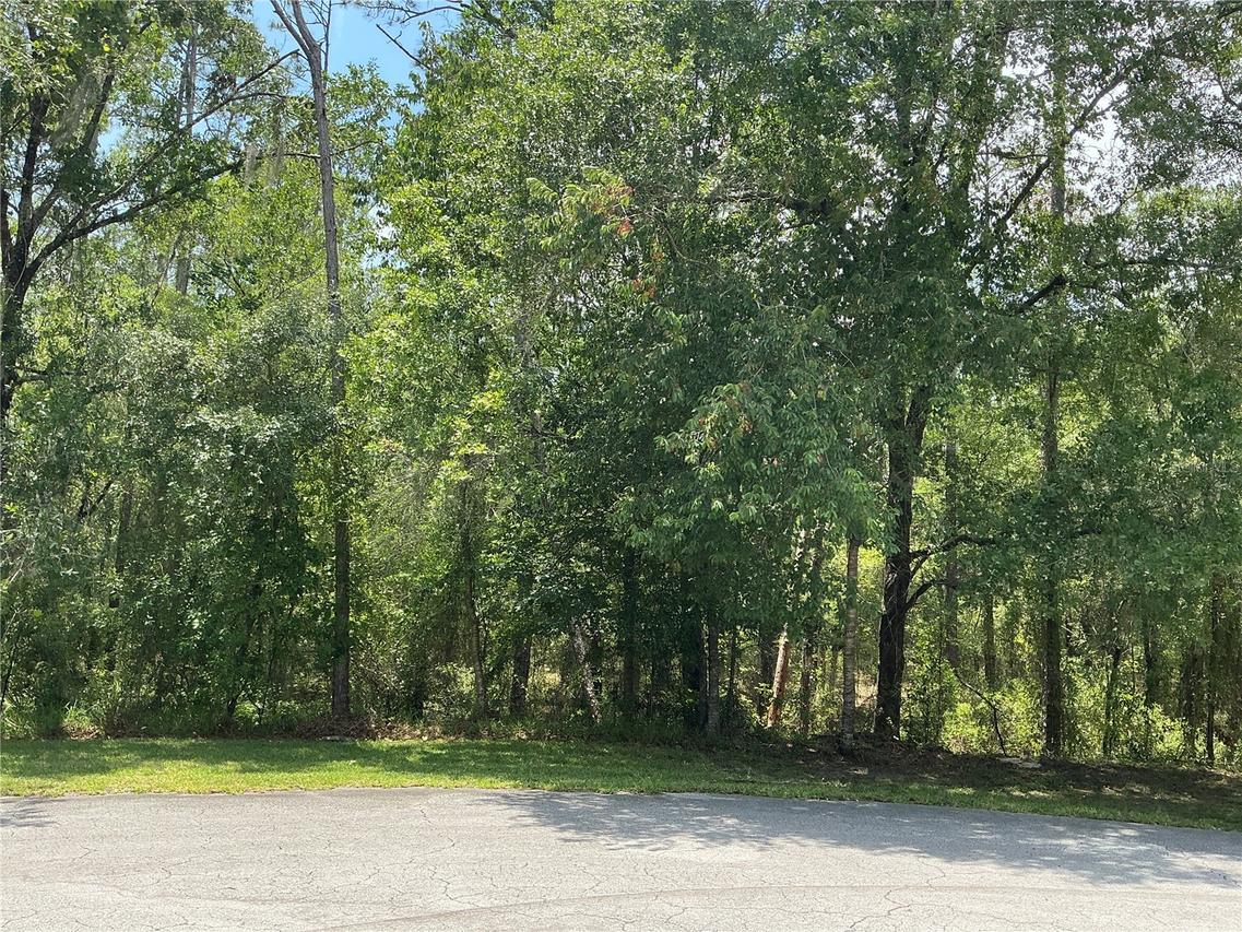 TBD SW 90th Pl., Dunnellon, FL 34431