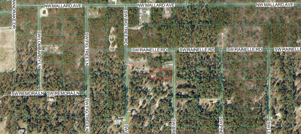 00 SW Breezy Point Dr., Dunnellon, FL 34431