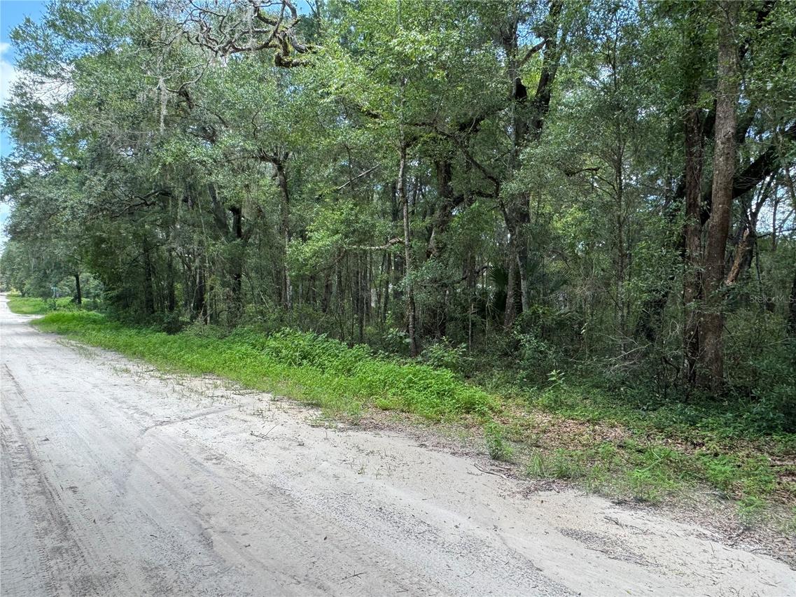TBD SW Sw 139th Ct St., Dunnellon, FL 34432