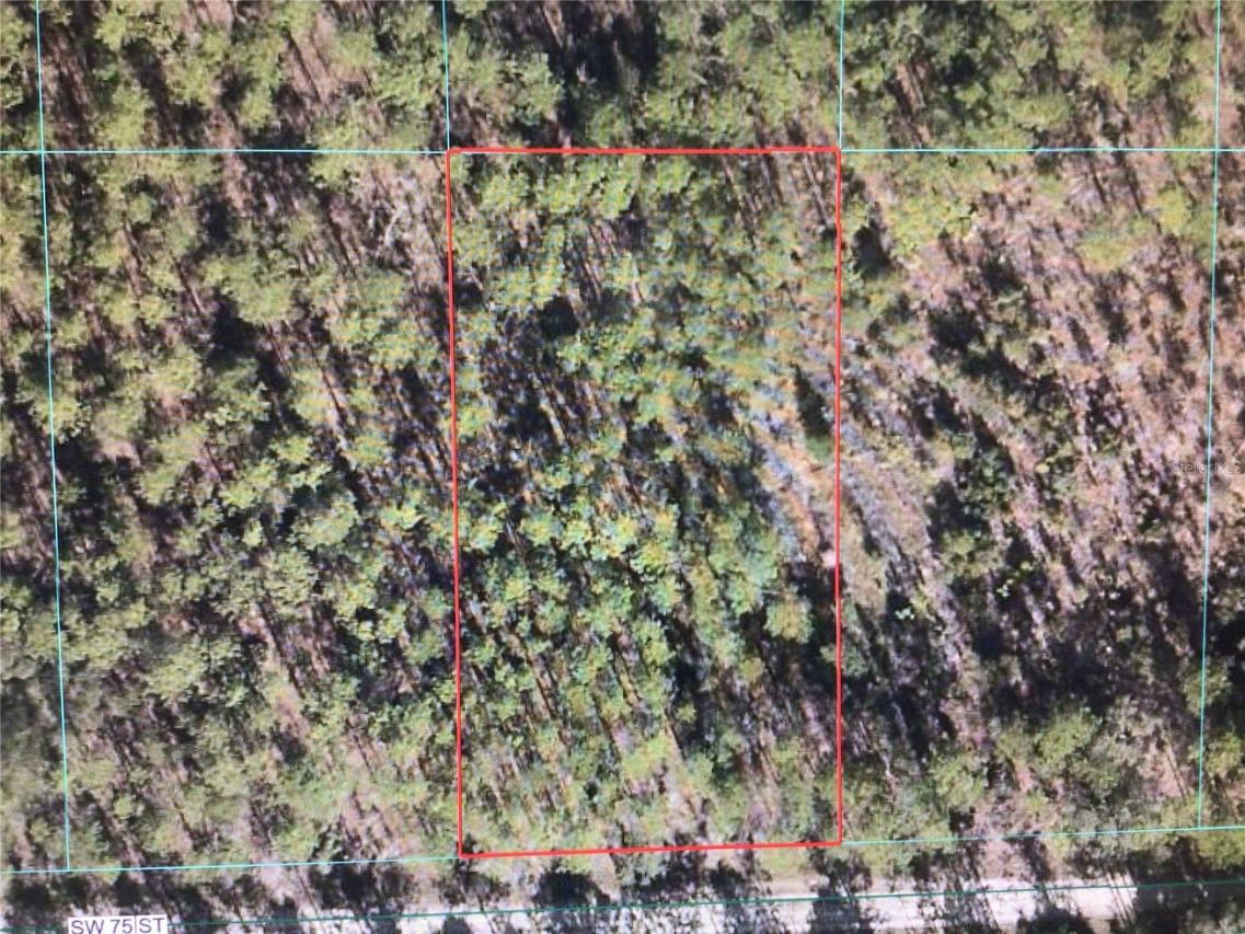 SW 75 St., Dunnellon, FL 34432