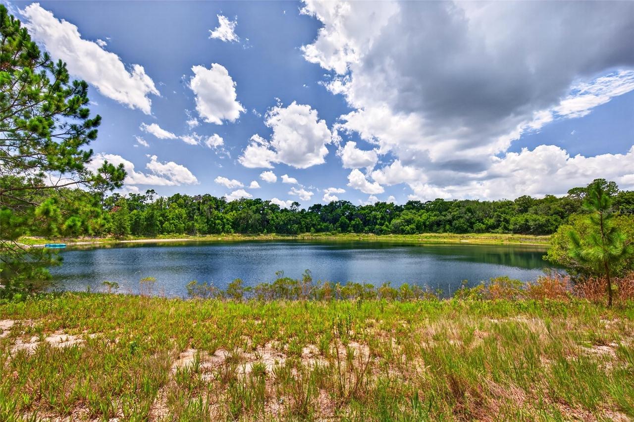 Malauka Loop, Ocklawaha, FL 32179