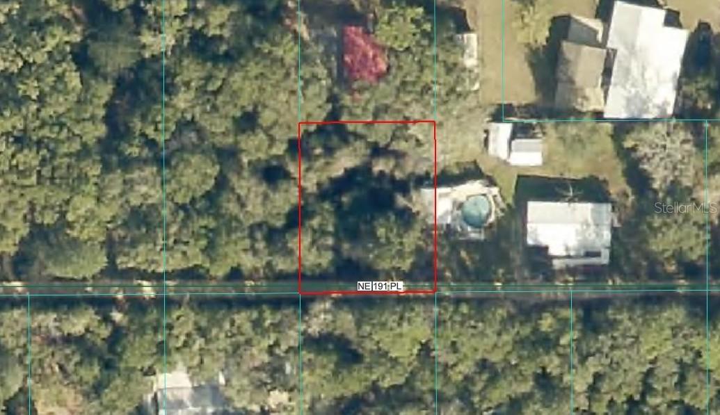 TBD Lot 61 NE 191st Pl., Fort Mc Coy, FL 32134