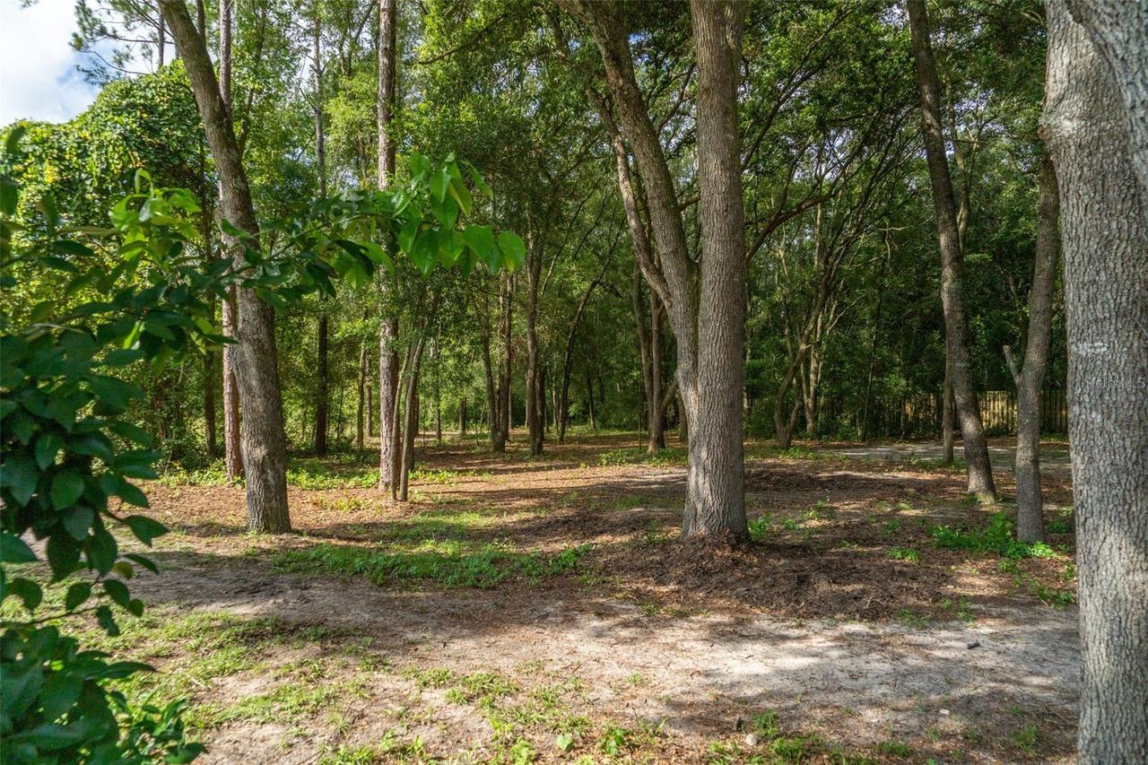 40 Deer Trail Cir., Bronson, FL 32621