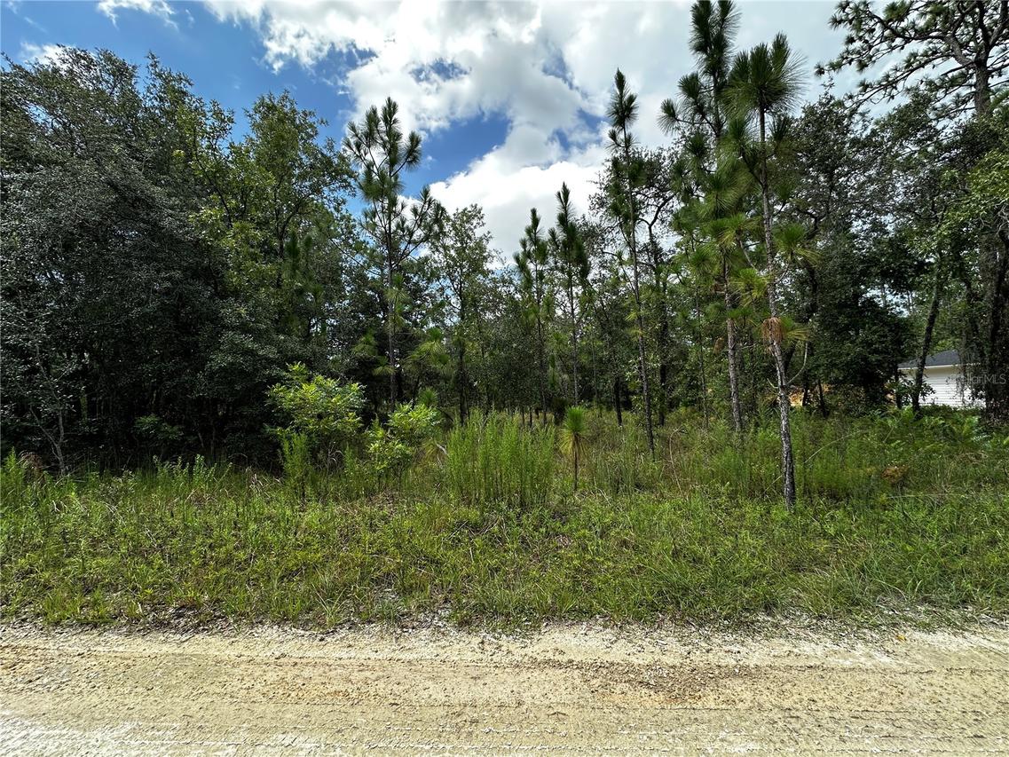 TBD NE 15th Ln., Williston, FL 32696