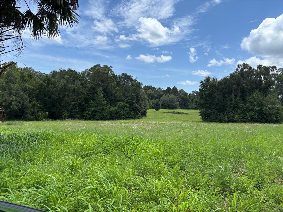 NE 23 Ter., Citra, FL 32113