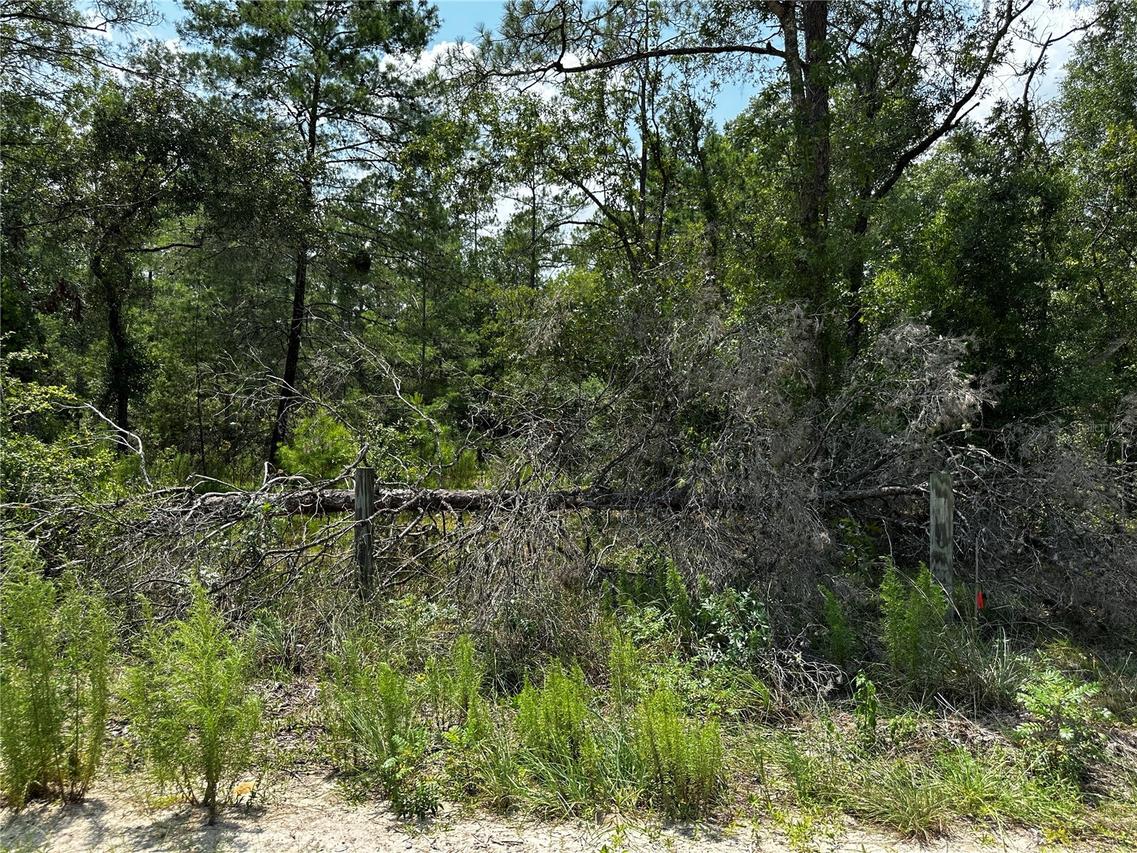 6270 NE 139th Ave., Williston, FL 32696