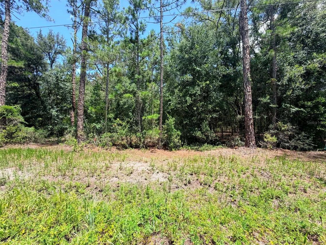 NE 132nd Pl Pl., Citra, FL 32113