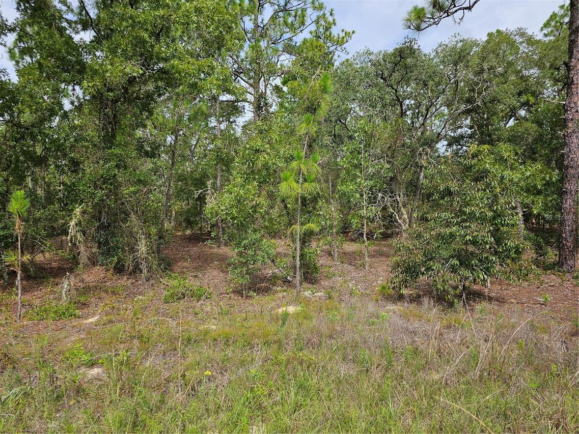 00 SW 122 Ave., Dunnellon, FL 34432
